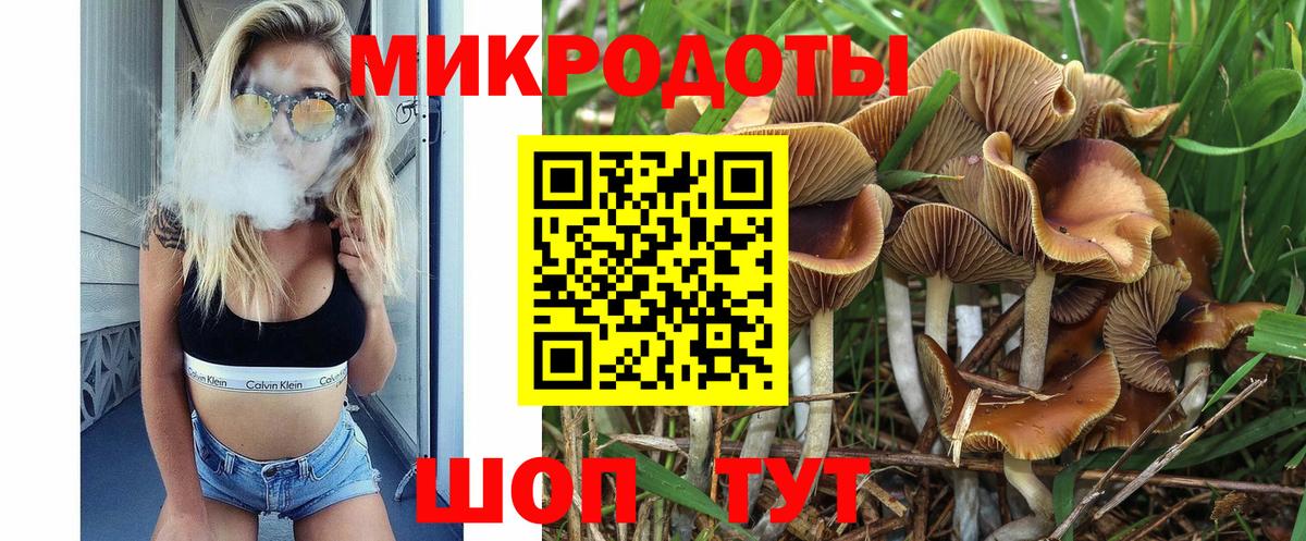 Псилоцибиновые грибы GOLDEN TEACHER Новочебоксарск
